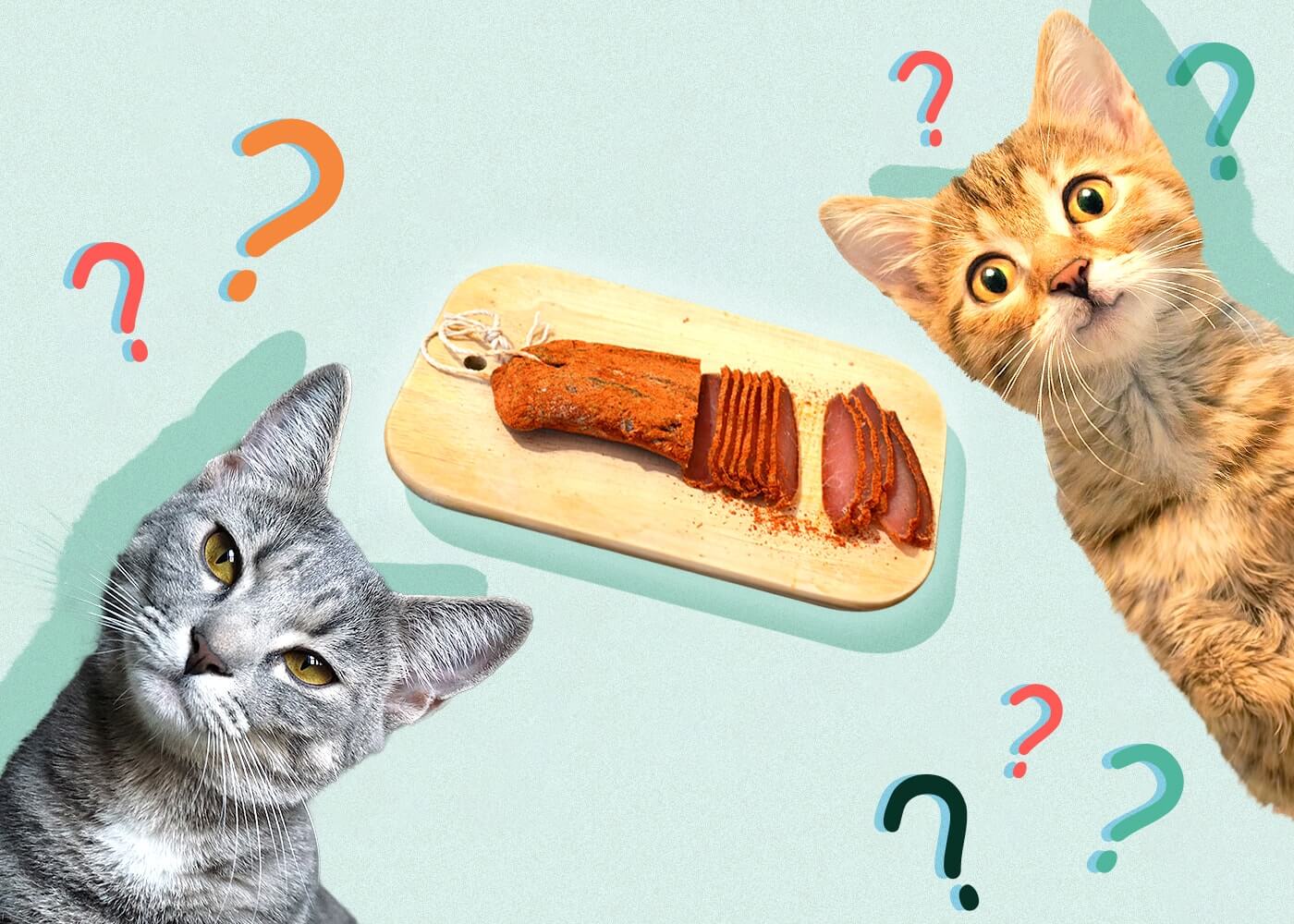 Can Cats Eat Pastrami