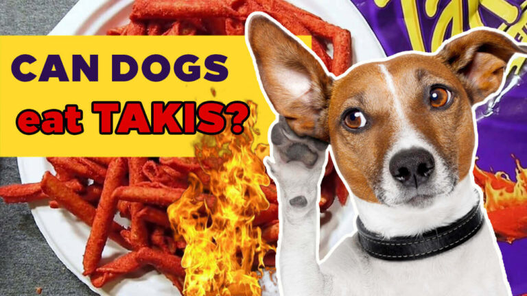 Can Dogs Eat Takis