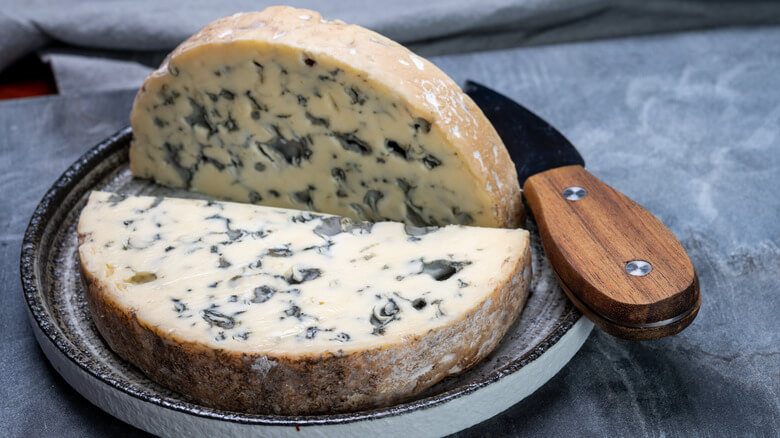 Can Dogs Eat Blue Cheese?
