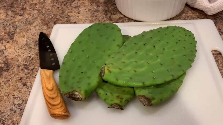 Can Cats Eat Nopales