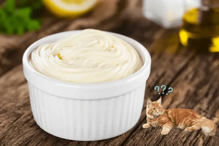 Can Cats Eat Mayo