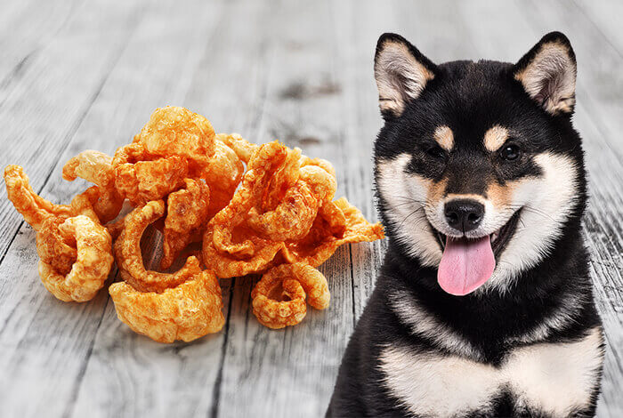 Can Dogs Eat Chicharon