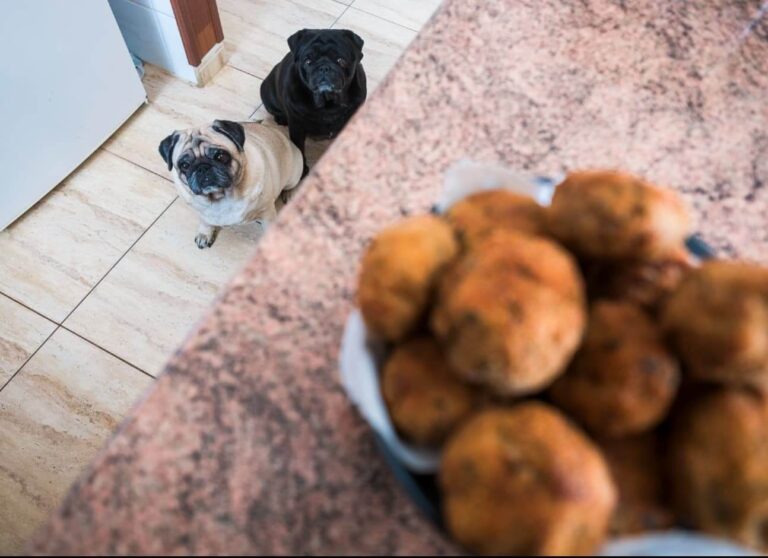 Can Dogs Eat Meatballs
