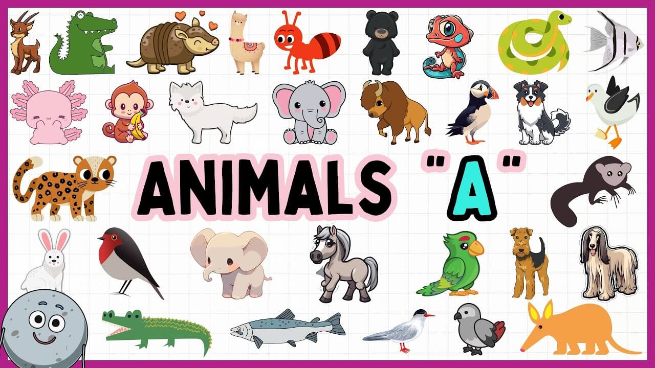 Animals that start with A