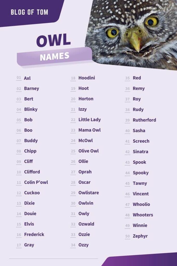 Owl Names list